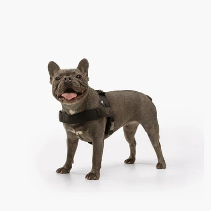 No-Pull Dog Harness