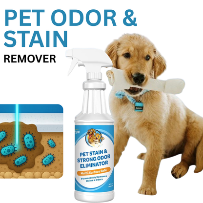 Pet Stain & Strong Odor Eliminator