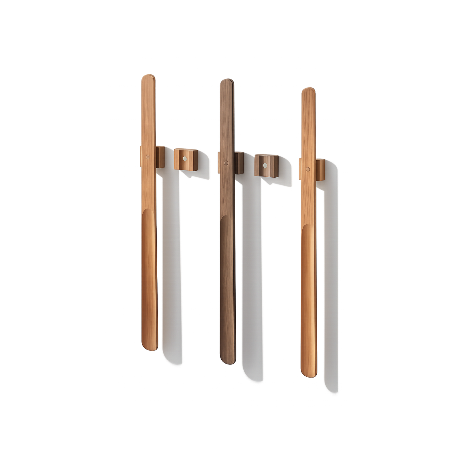 Magnetic Shoehorn