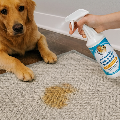 Pet Stain & Strong Odor Eliminator
