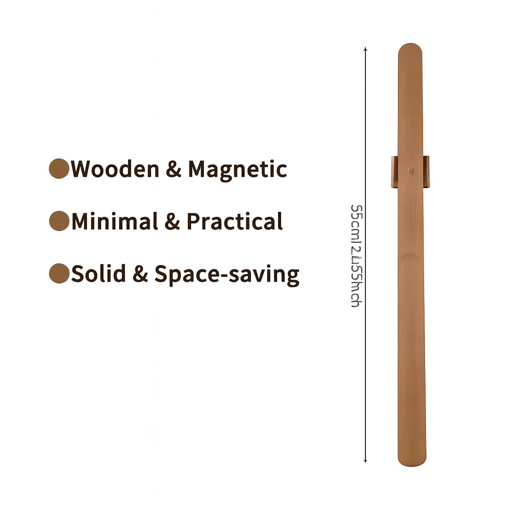 Magnetic Shoehorn